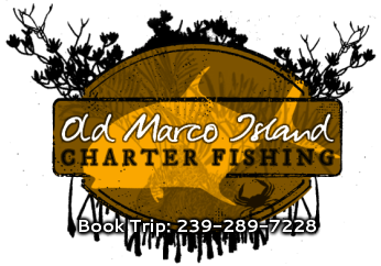 Old Marco Island Fishing Charters